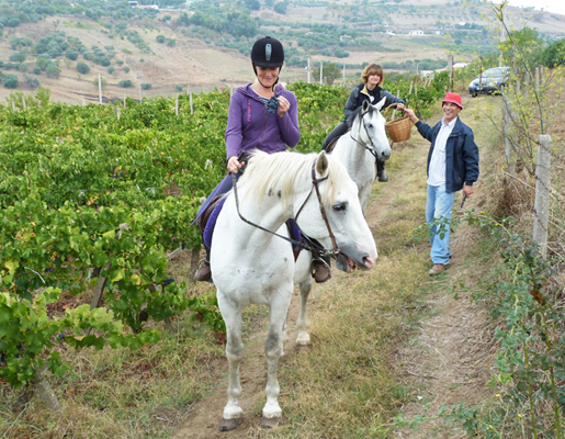 Horse riding in Sicily