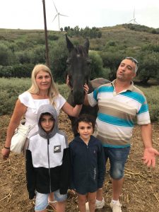 Sicily Horses Gandalf