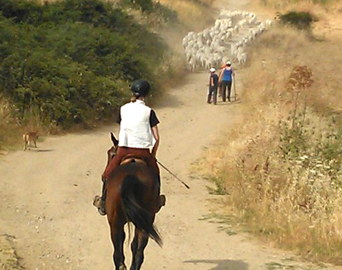 Horse riding in Italy